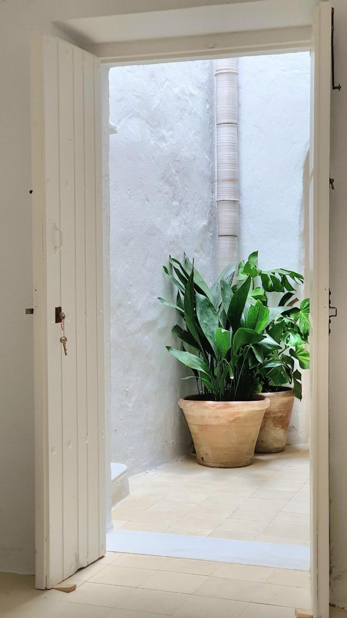 Canalejas 3 Vejer Vejer de la Frontera Habitación foto